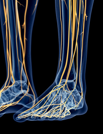 10 Causes of Nerve Damage in Your Feet | Podiatry Center of New Jersey